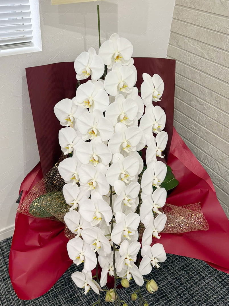 2026年03月熊本営業所移転