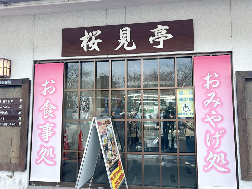 知覧桜見